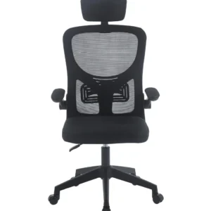 Cadeira Presidente - W-17